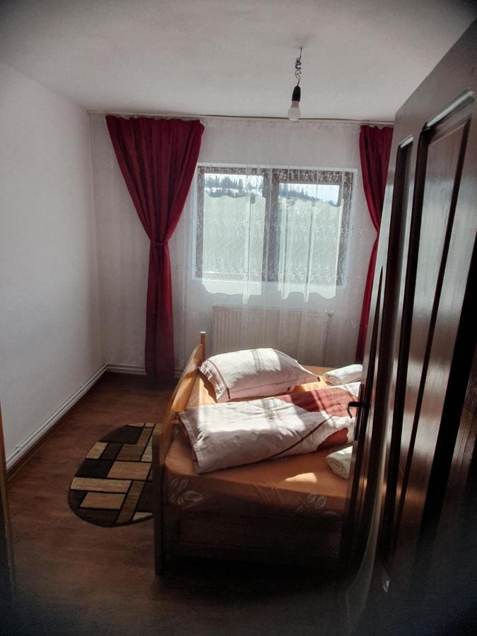Cabana Georgiana Maria Ghetari Экстерьер фото